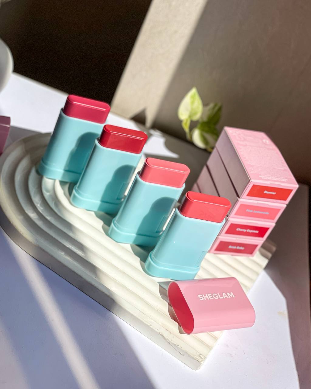 رژگونه استیکی شیگلم